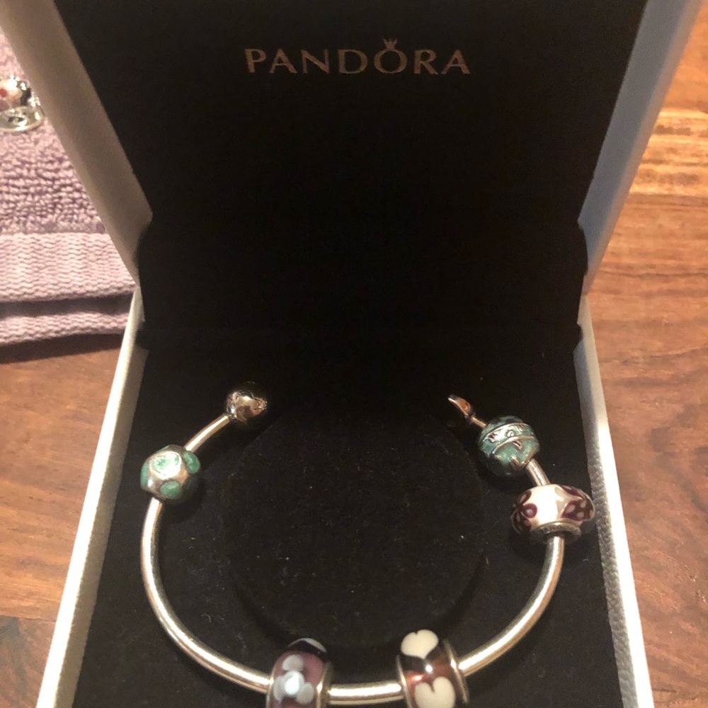 Pandora Bundle -22 charms and 2 bracelets - Picture 2 of 2